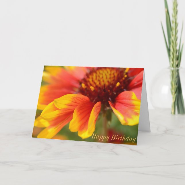 Carte d'anniversaire avec la fleur orange (Devant)