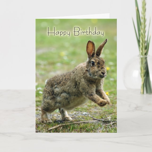 Carte d'anniversaire avec lapin sauvage (Devant)