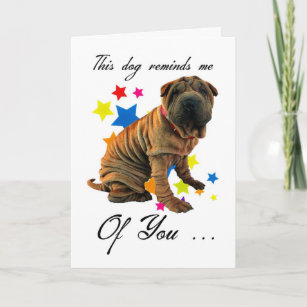 Cartes Humoristiques D Anniversaire Zazzle Fr