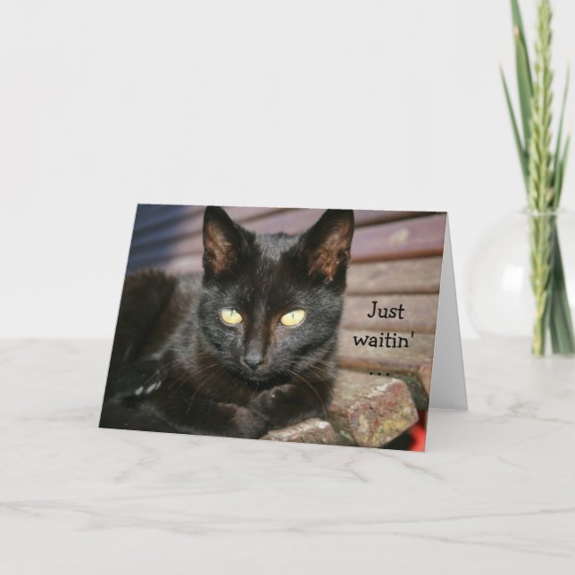 Carte d'anniversaire avec merveilleux chat noir (Devant)