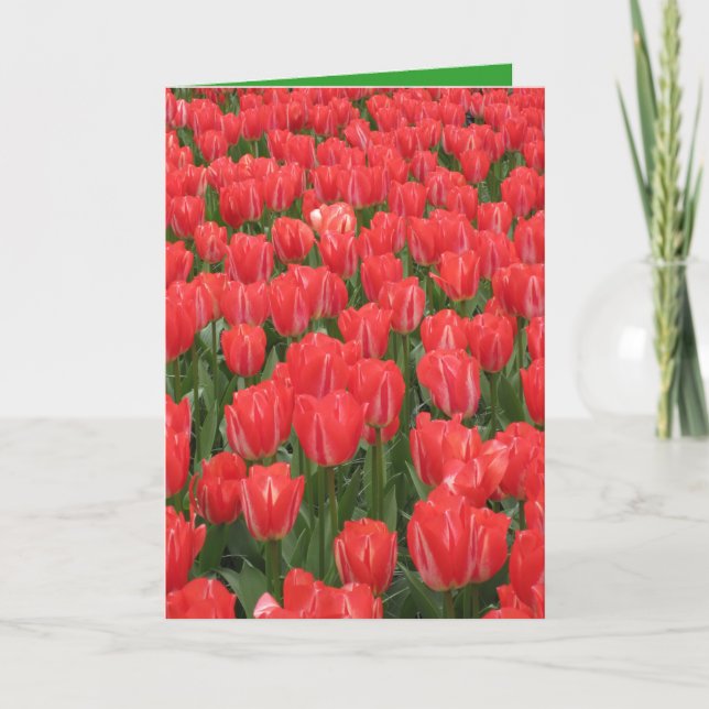 Carte d'anniversaire avec tulipe (Devant)