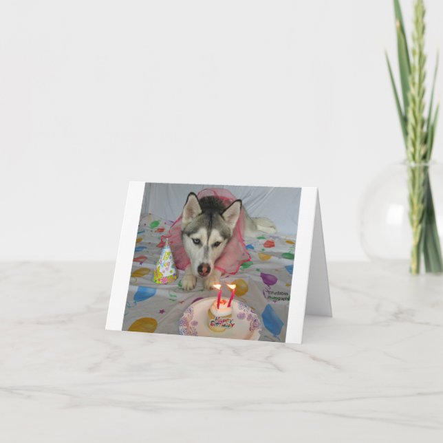 Carte d'anniversaire avec un adorable chien (Devant)