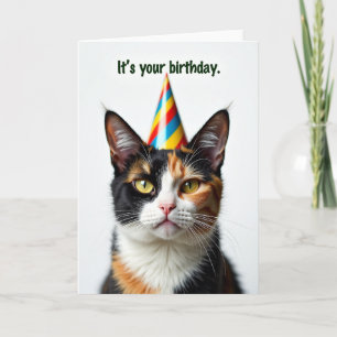Carte d'anniversaire avec un chat festif
