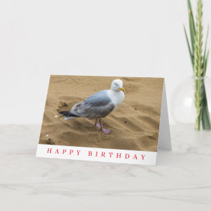 Carte d'anniversaire avec une mouette sur une plag