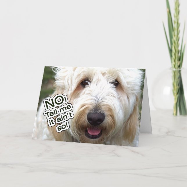 CARTE D'ANNIVERSAIRE BATTUE - NON, DITES-MOI QUE C (Devant)