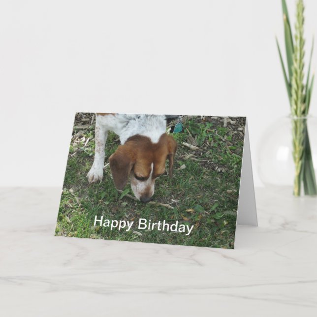 Carte d'anniversaire beagle (Devant)