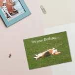Carte d'anniversaire beagle (amusante)<br><div class="desc">Une carte d'anniversaire Beagle avec un petit humour à l'intérieur. La carte parfaite pour un amoureux Beagle !</div>