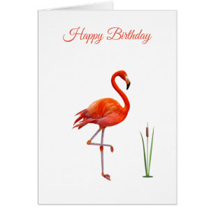 Carte d'anniversaire Beau Flamant Rose