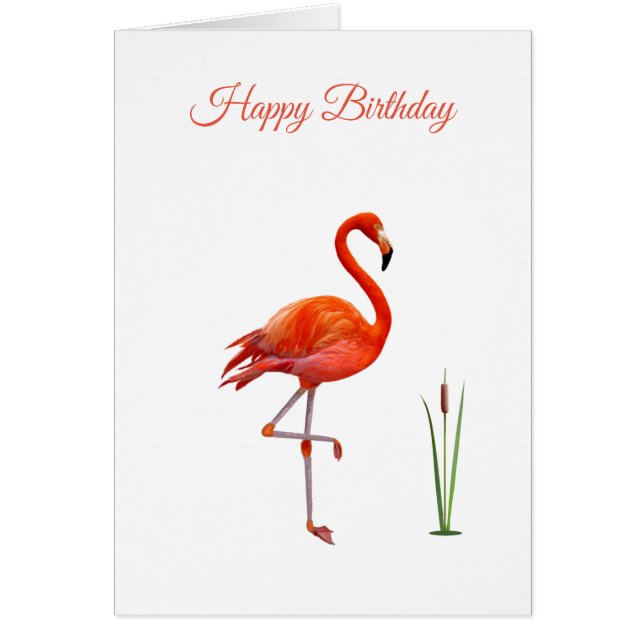 Carte d'anniversaire Beau Flamant Rose (Devant)