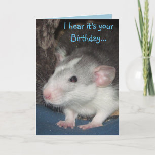 carte d'anniversaire bébé husbo Dumbo rat