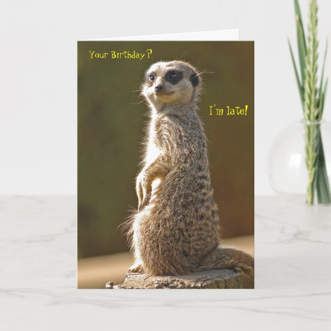 Carte d'anniversaire Belated Meerkat (Devant)