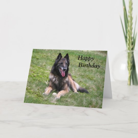 Carte D Anniversaire Belge De Photo De Chien De Zazzle Fr