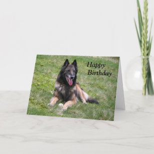 Invitations Faire Part Cartes Anniversaire Belge Zazzle Fr