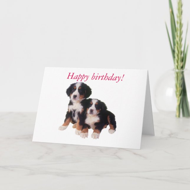 carte d'anniversaire berner sennen pups (Devant)