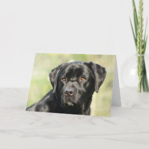 Carte d'anniversaire Black Labrador