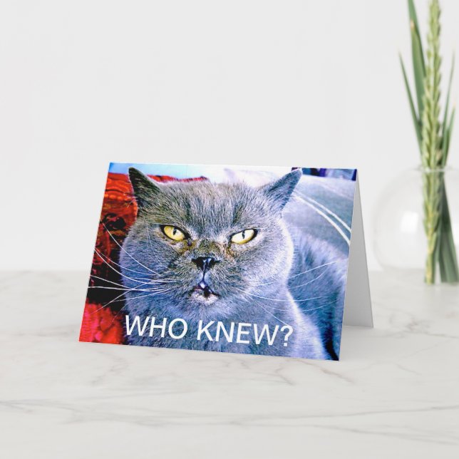 Carte d'anniversaire Blue Cat 60e (Devant)