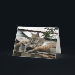 Carte d'anniversaire Bobcat Friends<br><div class="desc">Carte d'anniversaire Bobcat Friends</div>