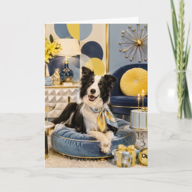 Carte d'anniversaire Border Collie (Devant)