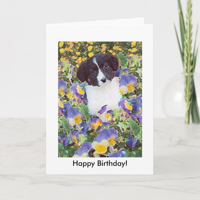 Carte d'anniversaire - Bordure Collie Pup et Fleur (Devant)