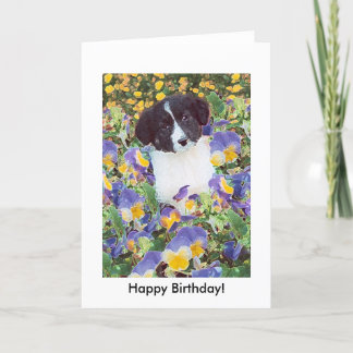 Carte d'anniversaire - Bordure Collie Pup et Fleur