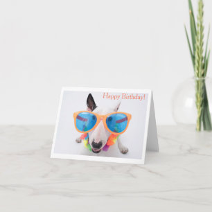 Carte d'anniversaire Bull Terrier