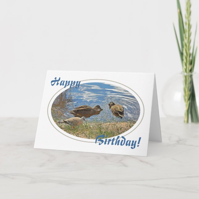 Carte d'anniversaire Canards et Pigeon (Devant)