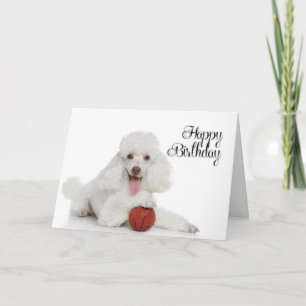 Carte d'anniversaire Caniche