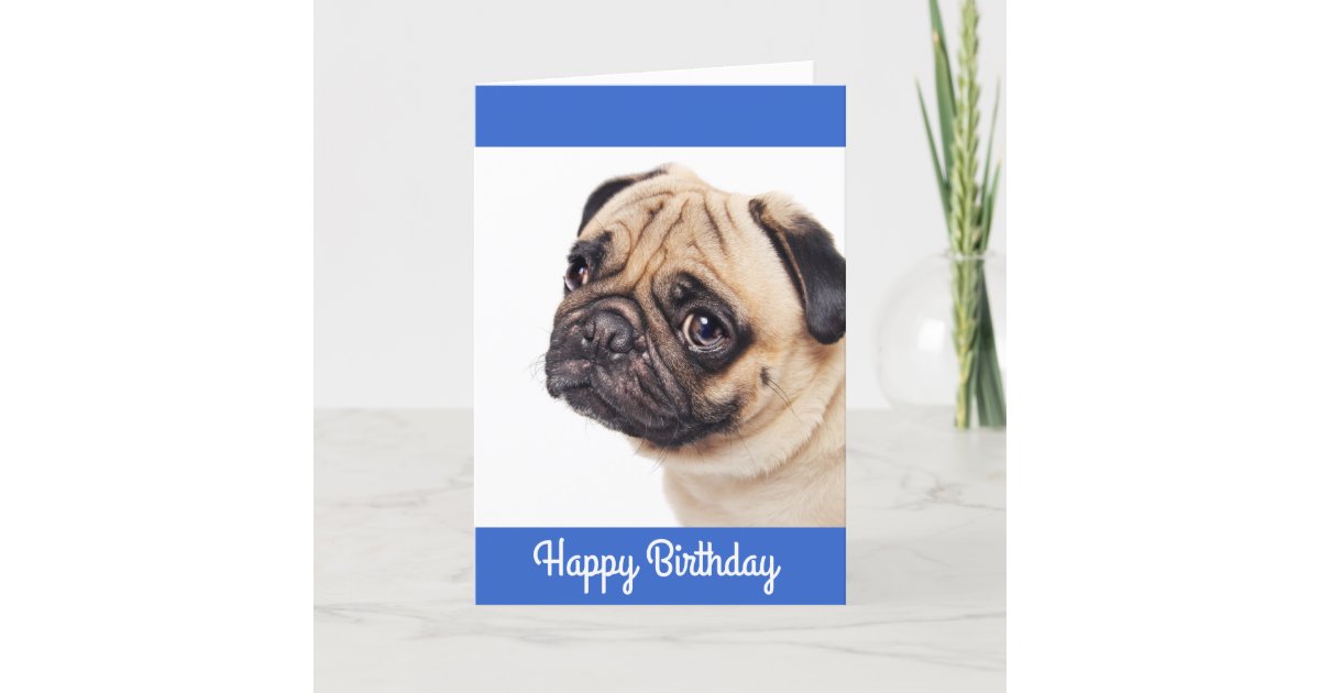  Carte  d anniversaire  Carlin  Puppy Happy Verrouil Zazzle fr