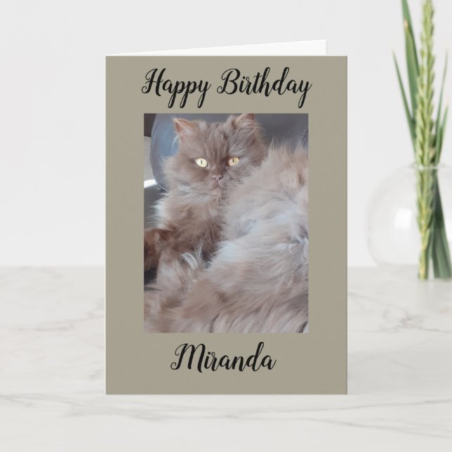 Carte d'anniversaire Cat Cat (Devant)