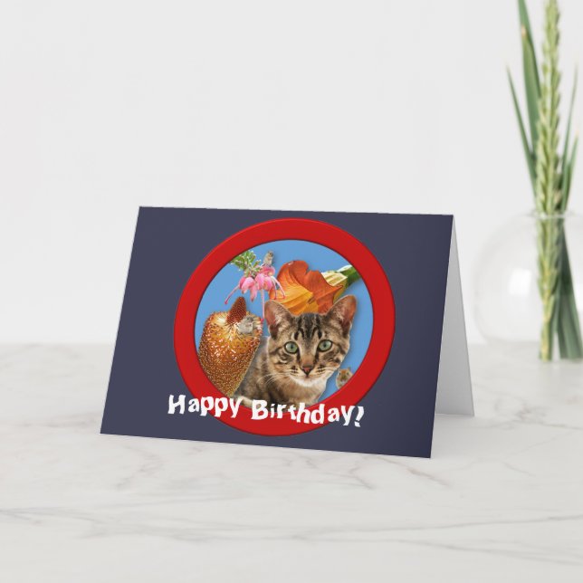 Carte d'anniversaire Cat 'n souris (Devant)