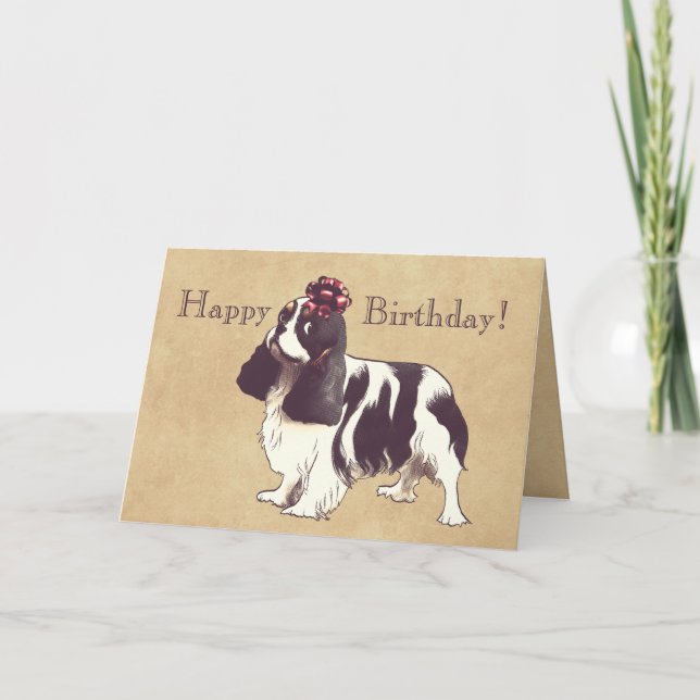 Carte d'anniversaire Cavalier King Charles Spaniel (Devant)