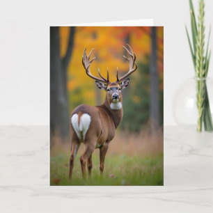 Carte d'anniversaire Cerf Majestueux