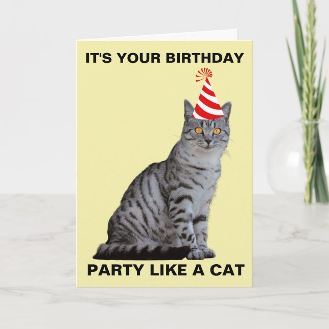CARTE D'ANNIVERSAIRE CHAT FÊTE (Devant)