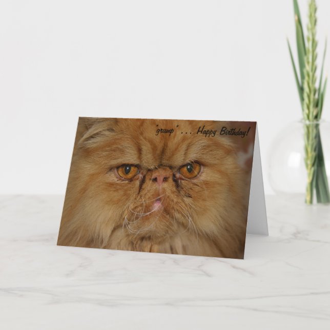 Carte d'anniversaire : Chat Grumpiest vivant (Devant)