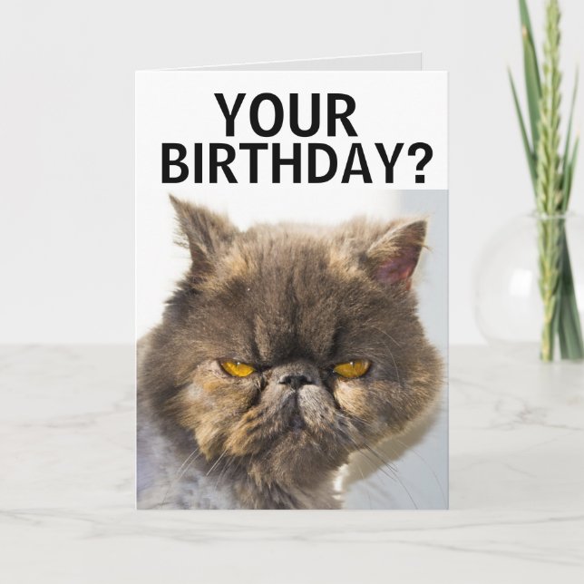 CARTE D'ANNIVERSAIRE CHAT PERSIEN (Devant)