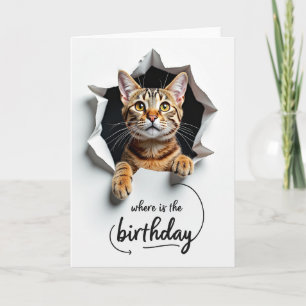 Carte d'anniversaire Chat Star Peek