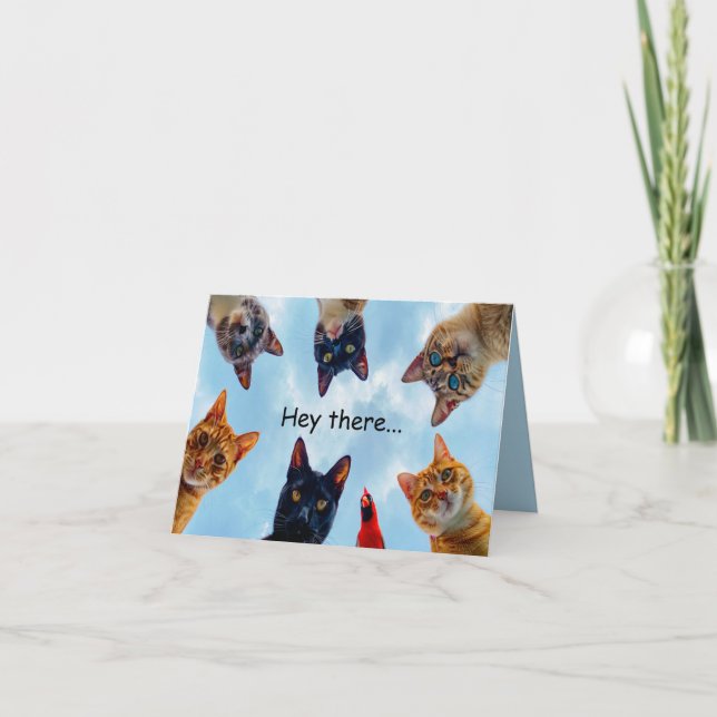 Carte d'anniversaire Chats et Cardinal (Devant)