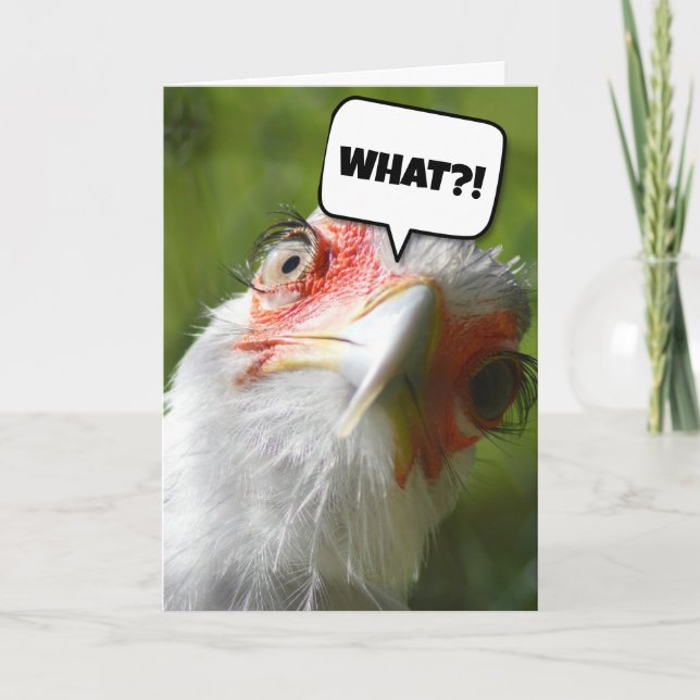 CARTE D'ANNIVERSAIRE CHICKEN FUNNY (Devant)