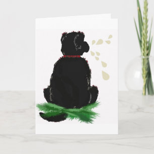 Carte d'anniversaire~ Chien de Terre-Neuve
