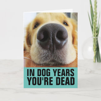 CARTE D'ANNIVERSAIRE CHIEN DRÔLE, EN ÂGE DE CHIEN