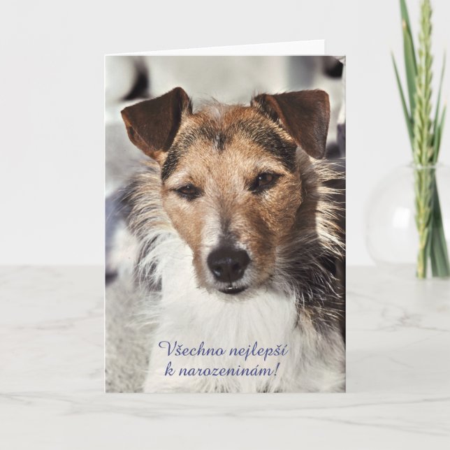 Carte d'anniversaire Chien Tchèque (Devant)