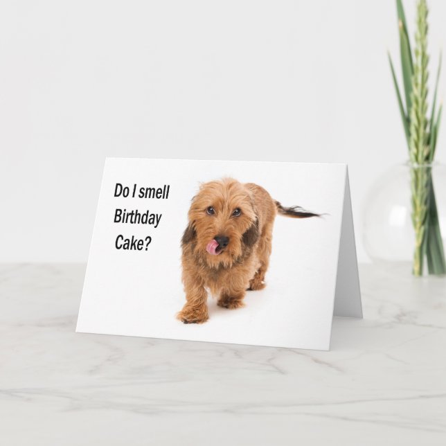 carte d'anniversaire chien teckel qui sent le gâte (Devant)
