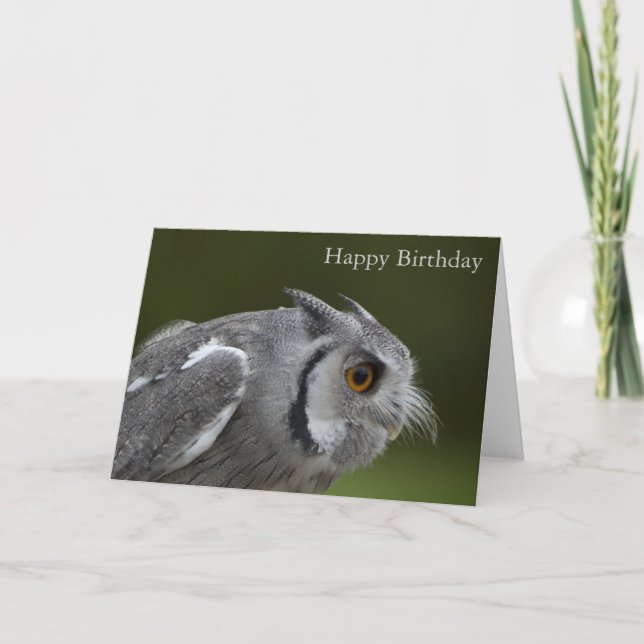 Carte d'anniversaire - Chouette gris bébé (Devant)