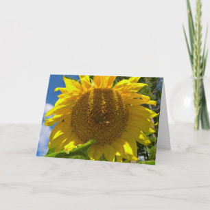 Carte d'anniversaire chrétienne de tournesol