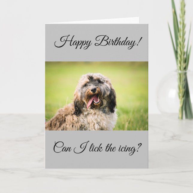 Carte d'anniversaire Cockapoo (Devant)