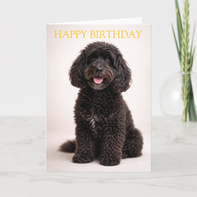 Carte d'anniversaire Cockapoo Chien mignon Design  (Devant)