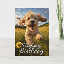 Carte d'anniversaire Cockapoo personnalisée