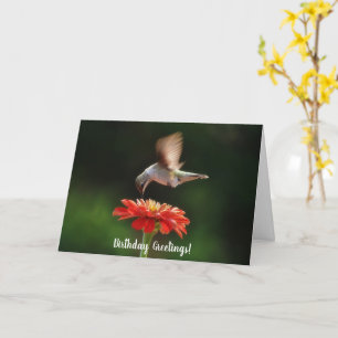 Carte d'anniversaire Colibri et Fleur de la Nature