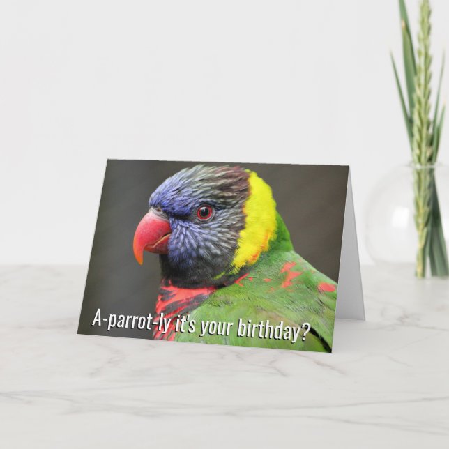 Carte d'anniversaire colorée de Lorikeet (Devant)