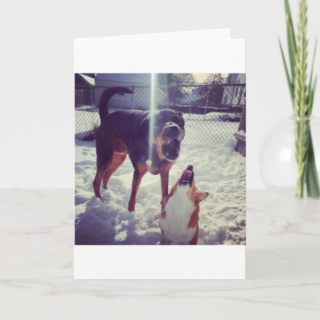 Carte d'anniversaire Corgi Best Friend (Devant)